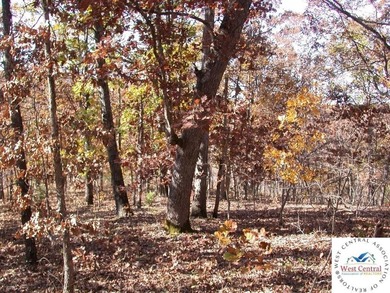 A wonderful and unique 6.3 acres of land with privacy and - photo 13