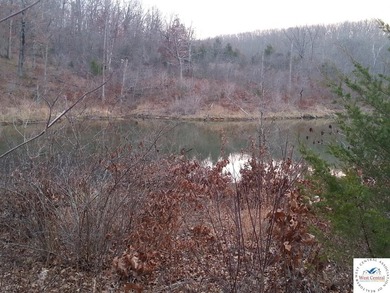 A wonderful and unique 6.3 acres of land with privacy and - photo 14