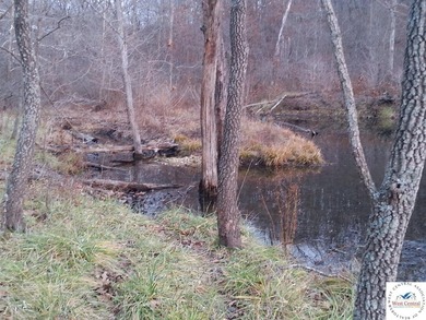 A wonderful and unique 6.3 acres of land with privacy and - photo 15