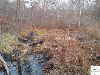 A wonderful and unique 6.3 acres of land with privacy and - photo 17