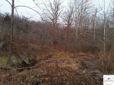 A wonderful and unique 6.3 acres of land with privacy and - photo 18