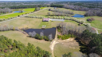 Lake Home For Sale in Stem, North Carolina