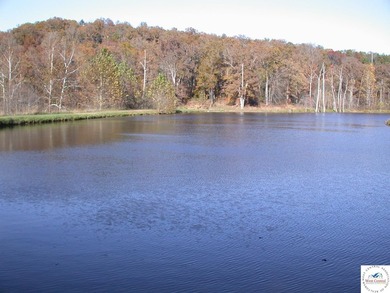 A wonderful and unique 6.3 acres of land with privacy and - photo 23