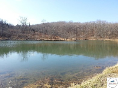 A wonderful and unique 6.3 acres of land with privacy and - photo 24