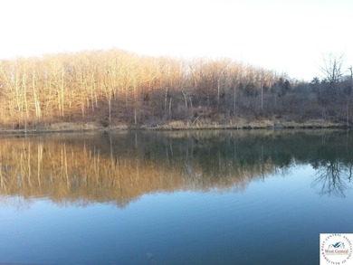 A wonderful and unique 6.3 acres of land with privacy and - photo 29