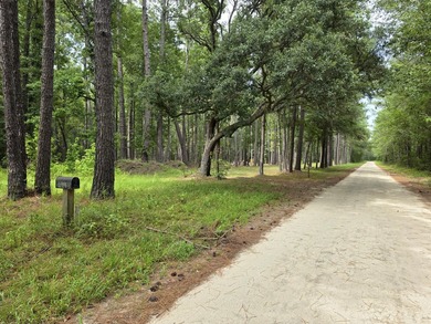 US FOREST-Large homesite bordering the Francis Marion Forest - photo 1