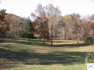 A wonderful and unique 6.3 acres of land with privacy and - photo 31