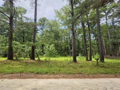 US FOREST-Large homesite bordering the Francis Marion Forest - photo 2