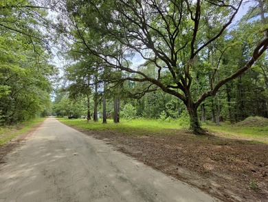 US FOREST-Large homesite bordering the Francis Marion Forest - photo 3