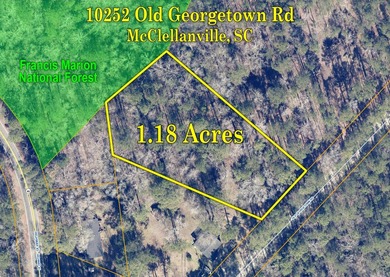 US FOREST-Large homesite bordering the Francis Marion Forest - photo 4