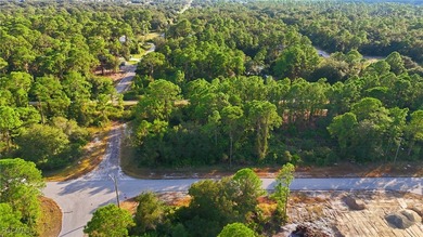 Lehigh Acres Area Lot For Sale in Alva Florida