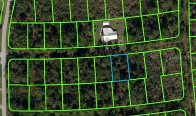 Lake Grassy Lot For Sale in Lake Placid Florida
