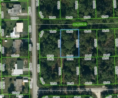 Lake Grassy Lot For Sale in Lake Placid Florida