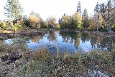 (private lake, pond, creek) Lot For Sale in Mt Shasta California
