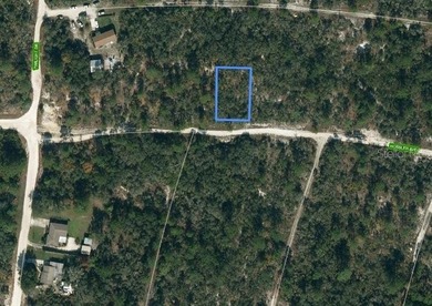 Lake Grassy Lot For Sale in Lake Placid Florida