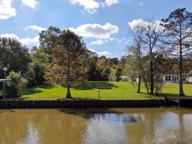 Lake Lot For Sale in St Amant, Louisiana