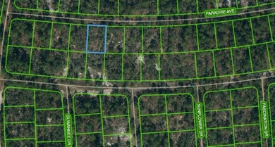 Lake Grassy Lot For Sale in Lake Placid Florida