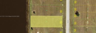 Lake Lot For Sale in Other City - In The State Of Florida, Florida