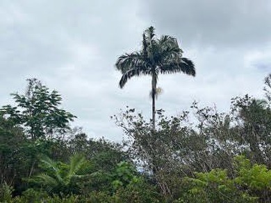 Beautiful opportunity to build your Island dream! Three - photo 14