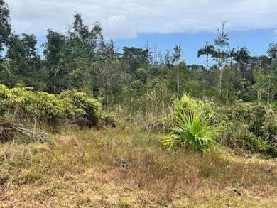 Beautiful opportunity to build your Island dream! Three - photo 18