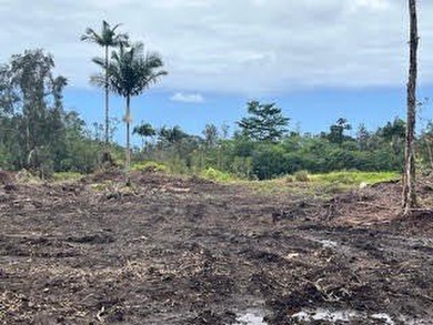 Beautiful opportunity to build your Island dream! Three - photo 20