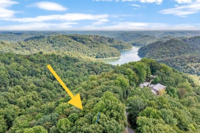 Nice Wooded Building lot in Holiday Haven. - Lake Acreage For Sale in Smithville, Tennessee