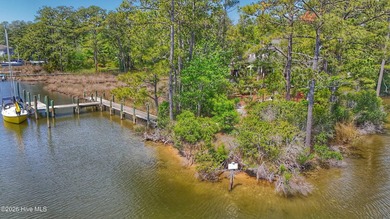 Peaceful Waterfront Retreat on Pierce Creek with Private Boat - photo 48