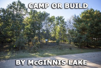 McGinnis Lake Lot For Sale in Oxford Wisconsin