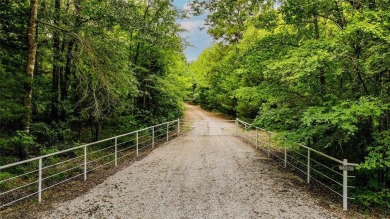 Lake Home For Sale in Mineola, Texas