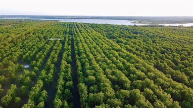 Proctor Lake Acreage For Sale in Comanche Texas