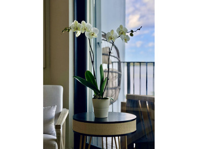 Stunning ocean + Intracoastal view from this exquisite 2BR/2BA