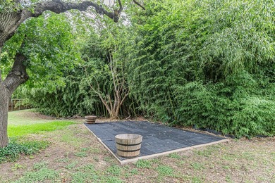 322 Canyon Ridge is a complete, uncompromising renovation set on - photo 34