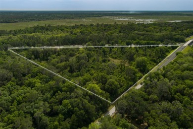 Levy Lake  Acreage Sale Pending in Micanopy Florida