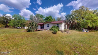 (private lake, pond, creek) Home For Sale in Ormond Beach Florida