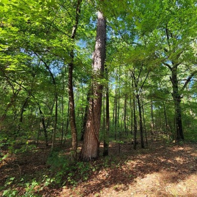Cross Lake Lot For Sale in Shreveport Louisiana