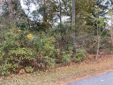 Ready to build your custom home. This double lot in Arrowhead - photo 11