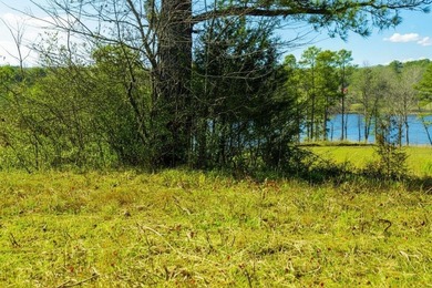 Prime, unrestricted 9 acre (+/-) property, located directly - photo 4