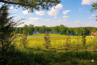 Prime, unrestricted 9 acre (+/-) property, located directly - photo 5