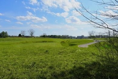 Prime, unrestricted 9 acre (+/-) property, located directly - photo 8