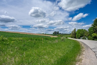 This is your opportunity to own a large section of land, just - photo 7