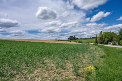 This is your opportunity to own a large section of land, just - photo 8