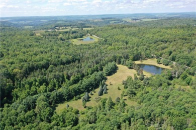 (private lake, pond, creek) Acreage For Sale in Sherburne New York