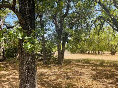 Lake Whitney Lot For Sale in Whitney Texas