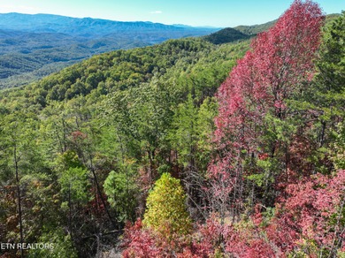 Lake Acreage For Sale in Maryville, Tennessee