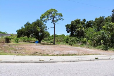This exceptional parcel of land located at 2423 Mango Avenue in - photo 3