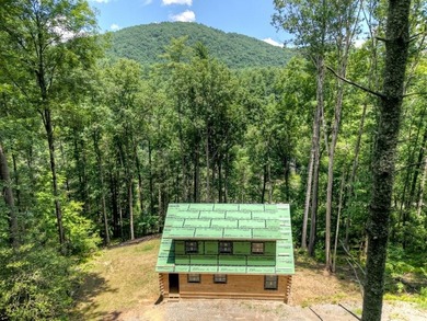 Toccoa River - Fannin County Home Active Under Contract in Suches Georgia