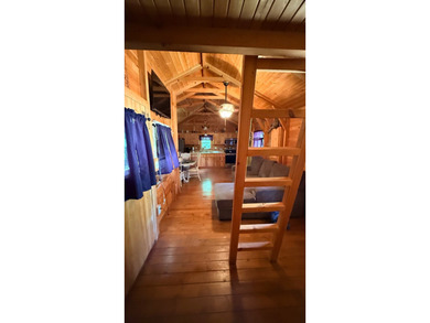 Log Cabin & Lot- Don't miss this one of a kind property located - photo 16