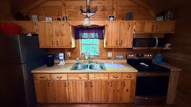 Log Cabin & Lot- Don't miss this one of a kind property located - photo 18