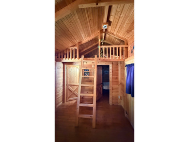 Log Cabin & Lot- Don't miss this one of a kind property located - photo 20