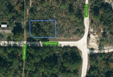 Lake Grassy Lot For Sale in Lake Placid Florida